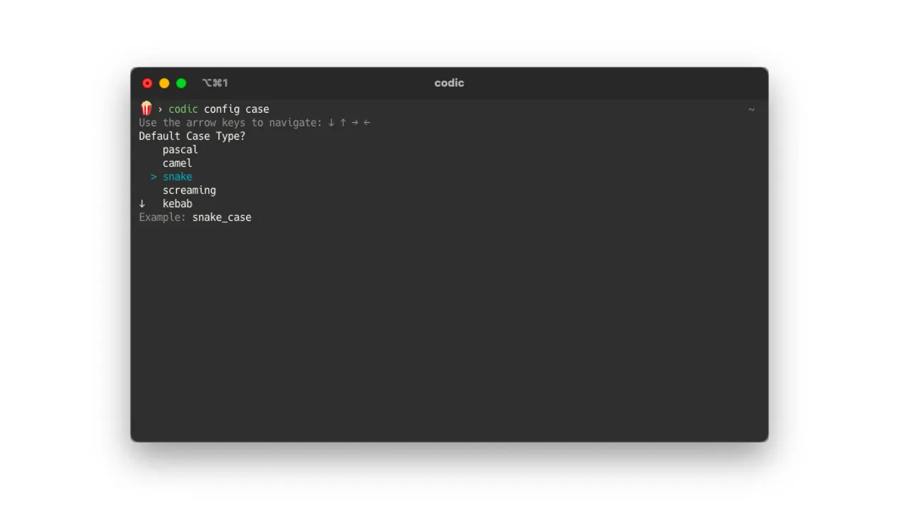 codic-cli (2/2)